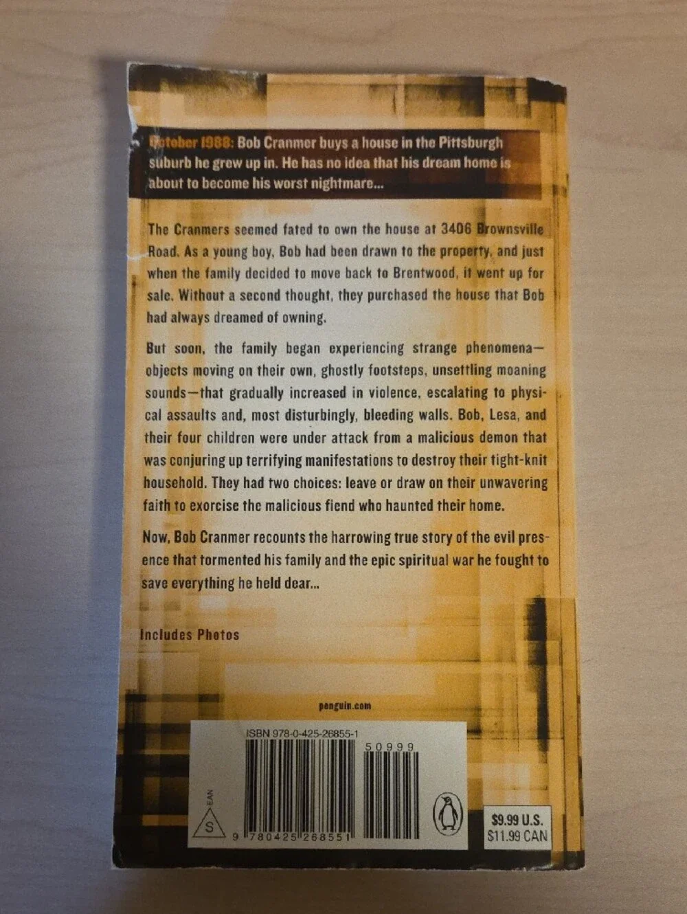 The Demon of Brownsville Road by Bob Cranmer and Erica Manfred